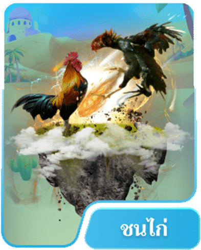 ชนไก่